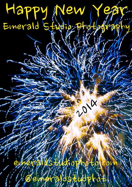 Happy New Year - Vince Ferguson - Digital Meme