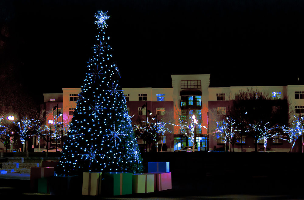 Where Did the Christmas Tree Come&nbsp;From?