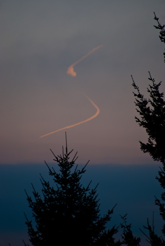 Vince Ferguson - S - Digital Image