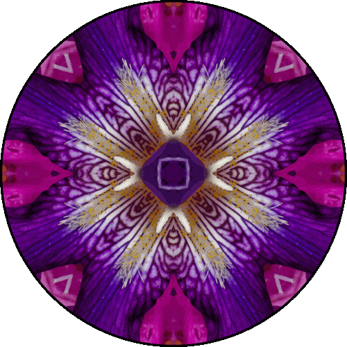 Vince Ferguson - "V" - Digital Mandala