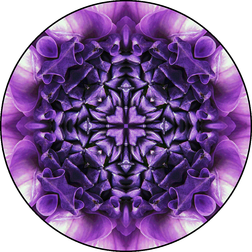 Royal Dahlia Mandala 04 - Digital Mandala
